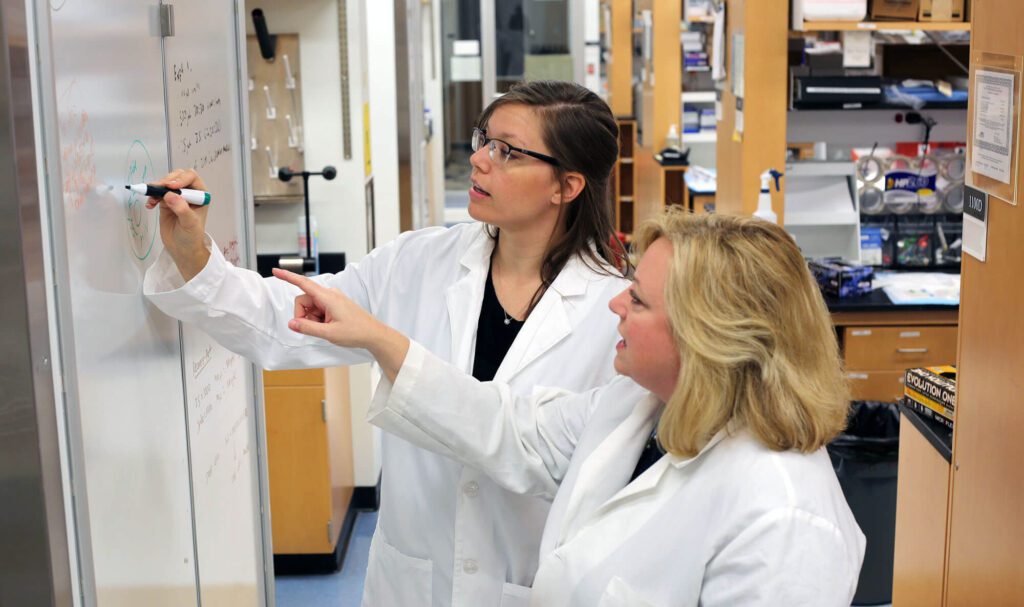 Angela Kashuba and a researcher write on a white board in a lab