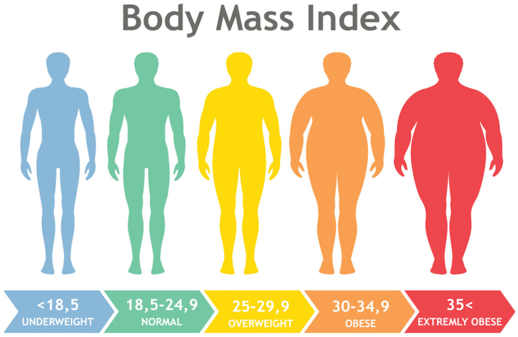 Body Mass Index chart.