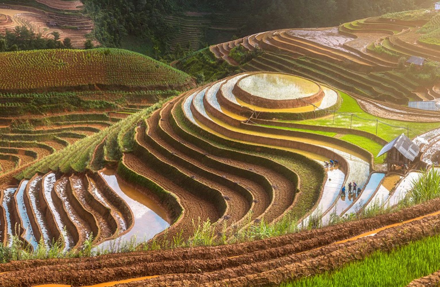 A hillside in Vietnam