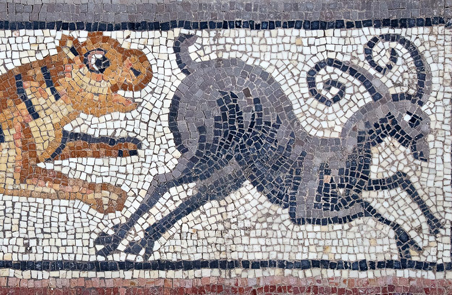 A mosaic shows a tiger chasing an ibex in a decorative border panel in the Huqoq synagogue. 
